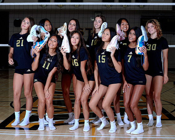 Westview Westview Volleyball Program