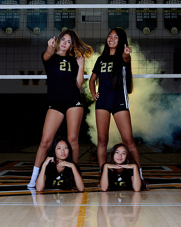Westview Westview Volleyball Program