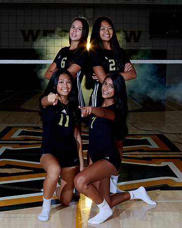 Westview Westview Volleyball Program
