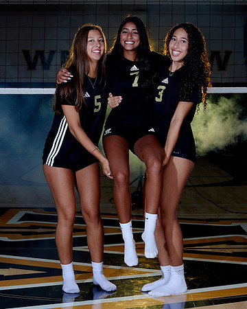 Westview Westview Volleyball Program