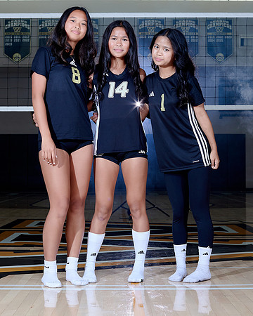 Westview Westview Volleyball Program