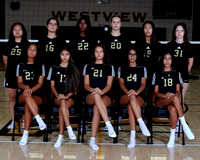 Westview Westview Volleyball Program