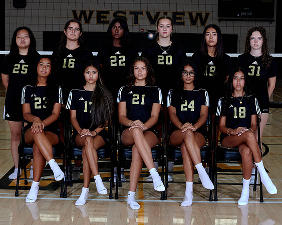 Westview Westview Volleyball Program