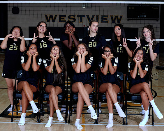 Westview Westview Volleyball Program