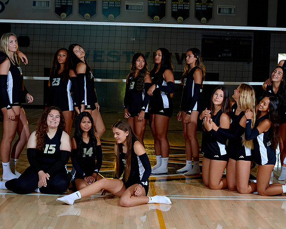 Westview Westview Volleyball Program