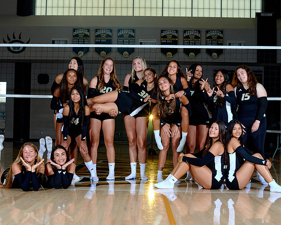 Westview Westview Volleyball Program