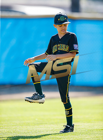 Little League All-Star Baseball All-Star Championship Game