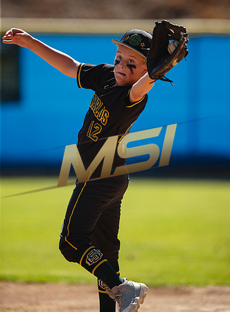 Little League All-Star Baseball All-Star Championship Game