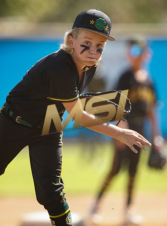 Little League All-Star Baseball All-Star Championship Game