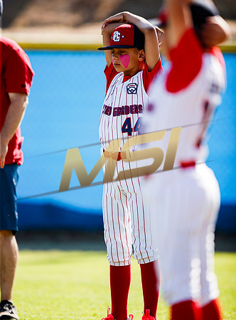 Little League All-Star Baseball All-Star Championship Game