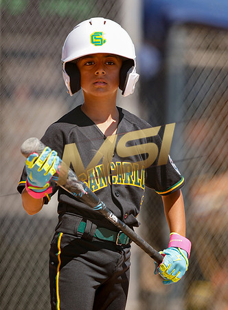 Little League All-Star Baseball All-Star Championship Game