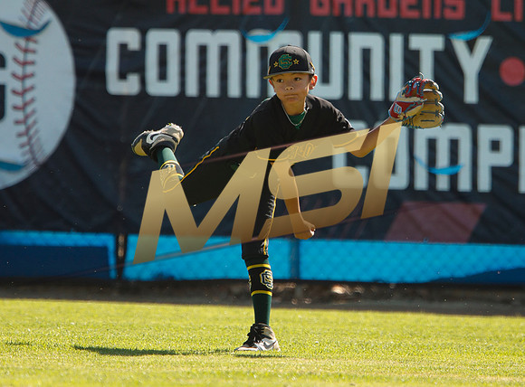 Little League All-Star Baseball All-Star Championship Game