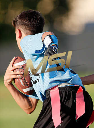 St. Mary Basha losses to  Our Lady of Mount Carmel
