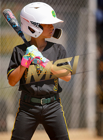 Little League All-Star Baseball All-Star Championship Game