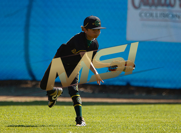 Little League All-Star Baseball All-Star Championship Game
