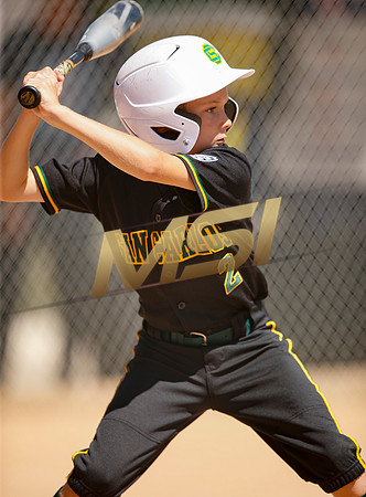 Little League All-Star Baseball All-Star Championship Game