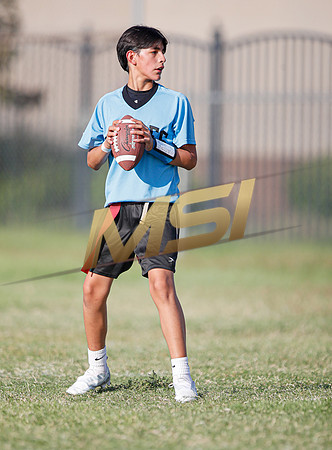 St. Mary Basha losses to  Our Lady of Mount Carmel