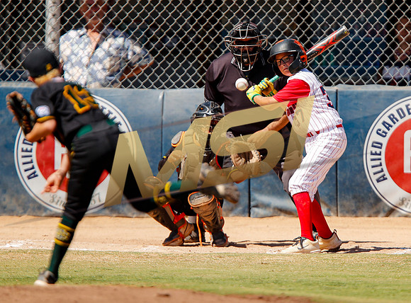 Little League All-Star Baseball All-Star Championship Game