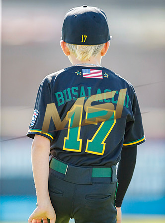 Little League All-Star Baseball All-Star Championship Game