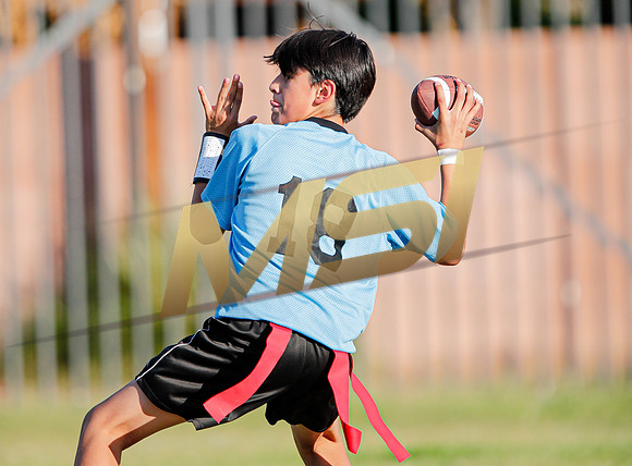 St. Mary Basha losses to  Our Lady of Mount Carmel