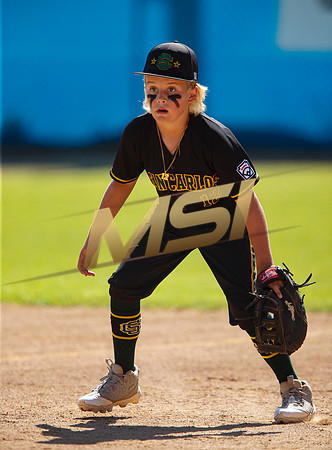 Little League All-Star Baseball All-Star Championship Game