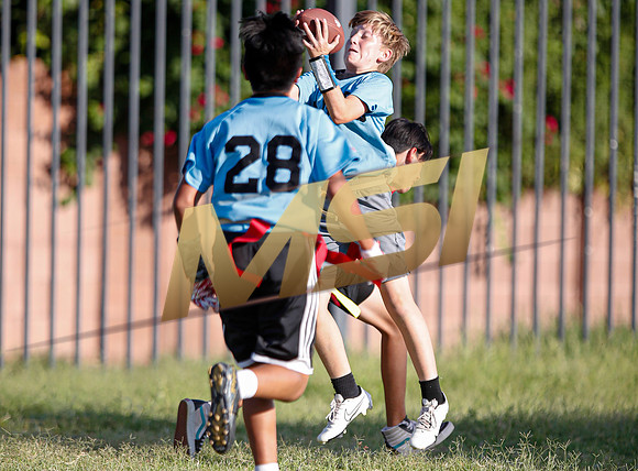 St. Mary Basha losses to  Our Lady of Mount Carmel