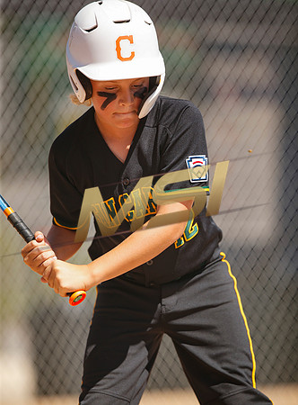 Little League All-Star Baseball All-Star Championship Game