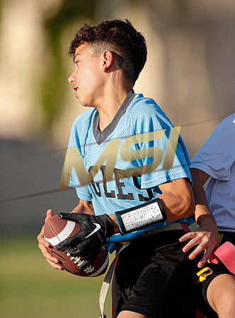St. Mary Basha losses to  Our Lady of Mount Carmel
