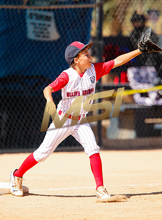 Little League All-Star Baseball All-Star Championship Game