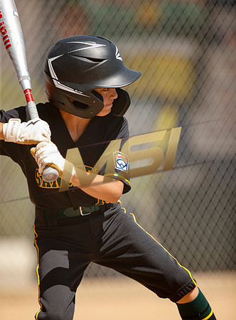 Little League All-Star Baseball All-Star Championship Game