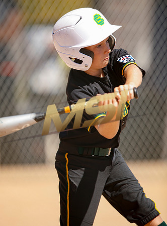 Little League All-Star Baseball All-Star Championship Game