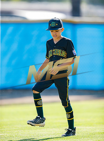 Little League All-Star Baseball All-Star Championship Game