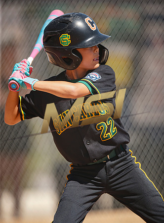 Little League All-Star Baseball All-Star Championship Game