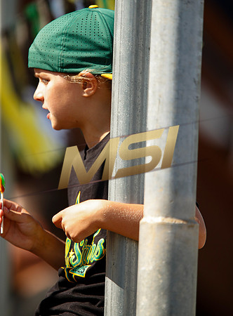 Little League All-Star Baseball All-Star Championship Game