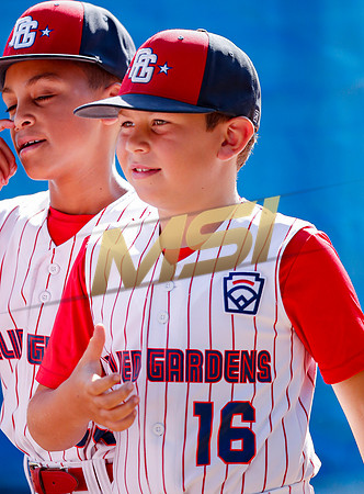 Little League All-Star Baseball All-Star Championship Game