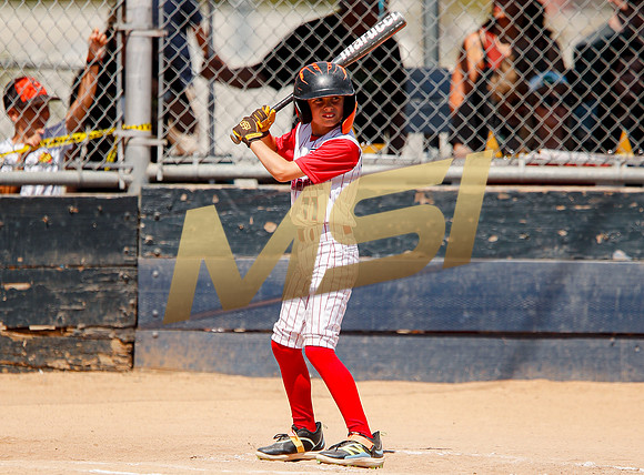 Little League All-Star Baseball All-Star Championship Game