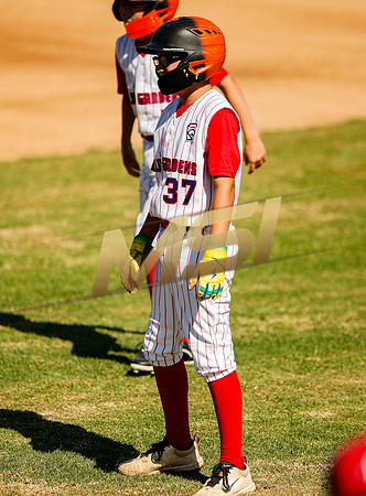 Little League All-Star Baseball All-Star Championship Game