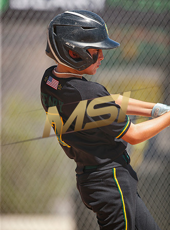Little League All-Star Baseball All-Star Championship Game