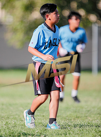 St. Mary Basha losses to  Our Lady of Mount Carmel