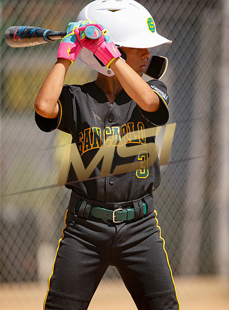Little League All-Star Baseball All-Star Championship Game