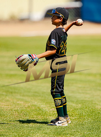 Little League All-Star Baseball All-Star Championship Game