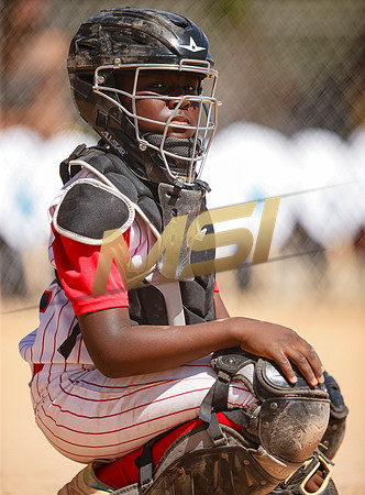 Little League All-Star Baseball All-Star Championship Game