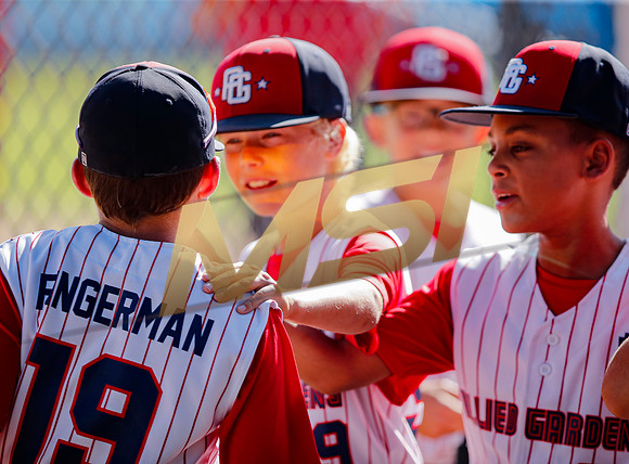 Little League All-Star Baseball All-Star Championship Game