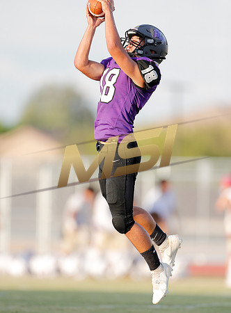 AIA Week 1
