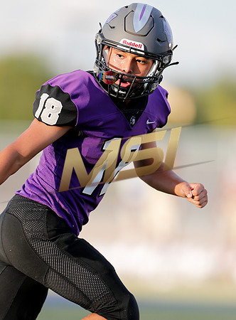 AIA Week 1