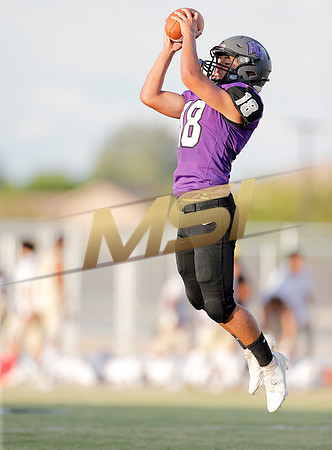 AIA Week 1