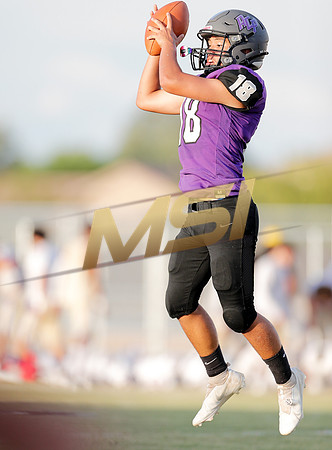 AIA Week 1