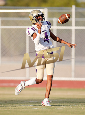 AIA Week 1
