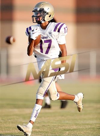AIA Week 1