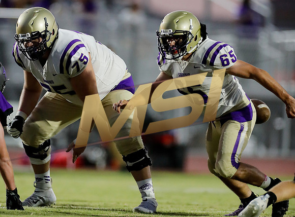 AIA Week 1